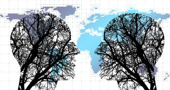 华体会官网入口-体育新闻中心协同多方建立体育内容风控机制，体育新闻机构  第1张